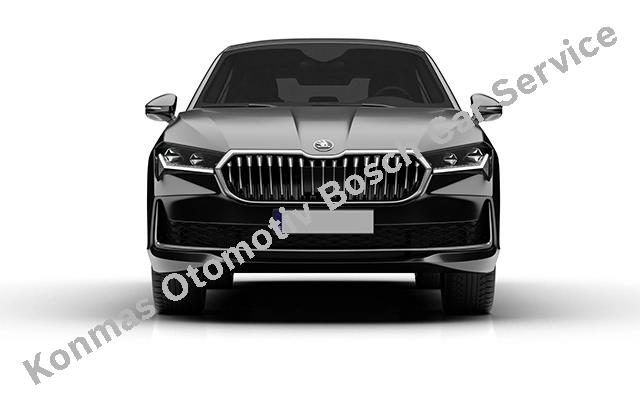 Skoda Servis konya