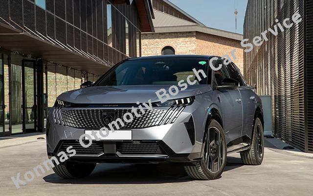 Konya Peugeot Servisi